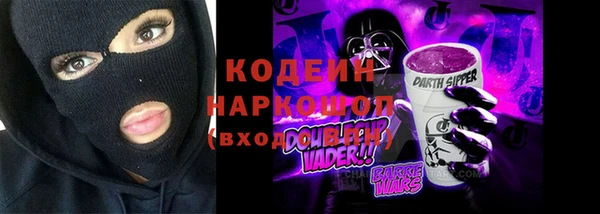 прущие грибы Бугульма