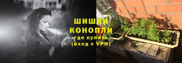 прущие грибы Бугульма
