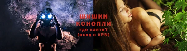 прущие грибы Бугульма
