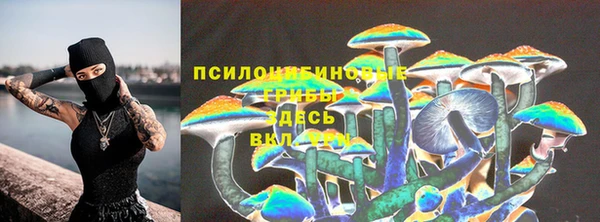 стафф Бородино