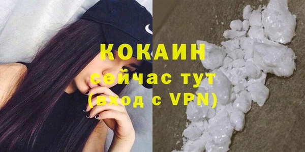 стафф Бородино