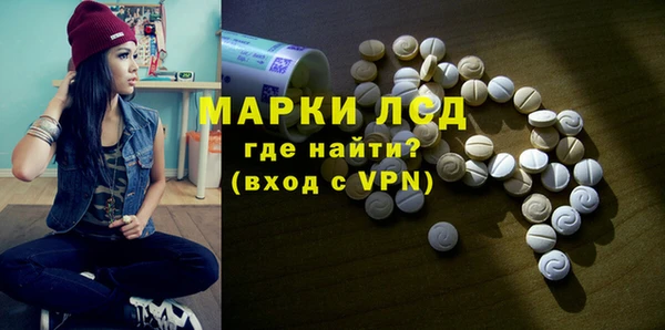 стафф Бородино