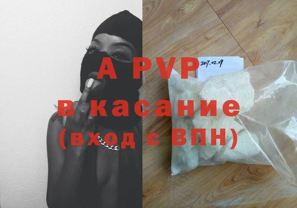 прущие грибы Бугульма