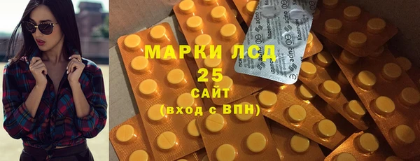 стафф Бородино