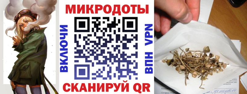 наркота  blacksprut онион  Галлюциногенные грибы Psilocybine cubensis  Кущёвская 